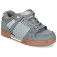 DVS - CELSIUS