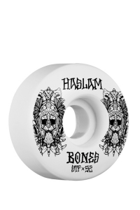 Bones - Haslam