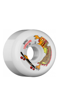 Bones - Caballero Dragon