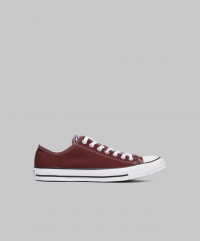 Converse - All Star OX