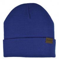 Dickies - Alaska Royal Blue