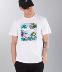 Adidas - T-shirt Bb Floral