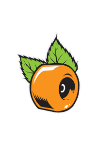 Oj Wheels - Orange Sticker