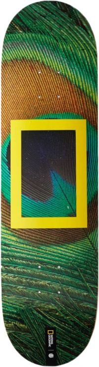 Element - National Geographic V2 Skateboard Deck