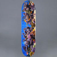 Mini Logo - Fish Tank 7.75 Skateboard Deck