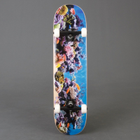 Mini Logo - Fish Tank 7.75" Skateboard Komplett