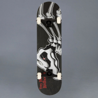 Birdhouse - Flacon 1 8.125 Komplett Skateboard