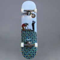 Magenta - Photographer Custom 8.25 Komplett Skateboard