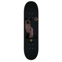 Magenta - (7.625) Cat