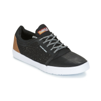 DVS - STRATO LT