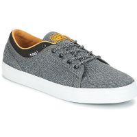 DVS - AVERSA+