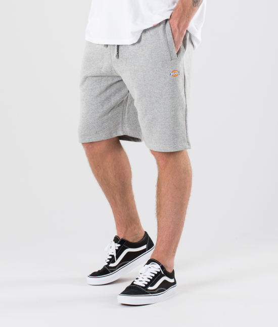 Dickies Shorts Glen Cove