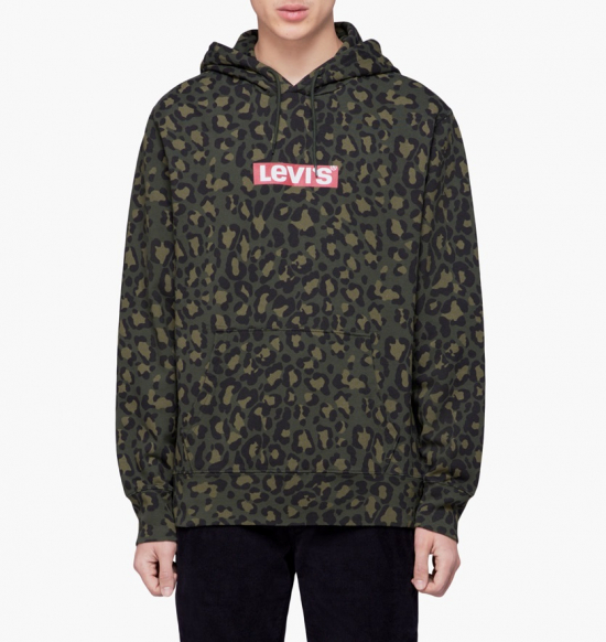 Levis Graphic Hoodie