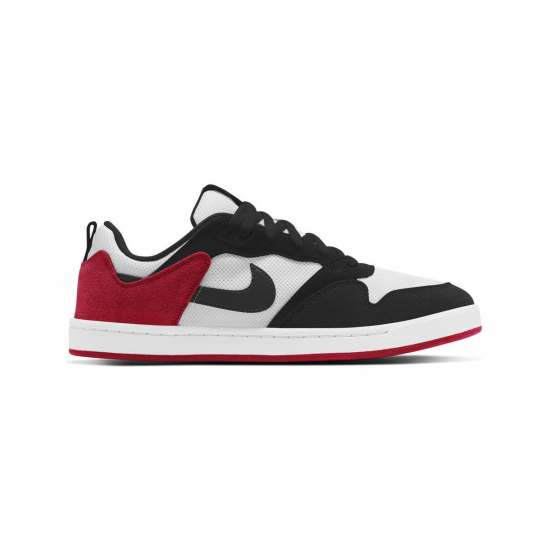 Nike sb alleyoop